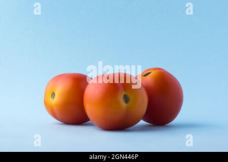tomatoes, edible berries, isolated on light blue background, closeup view taken in complementary color theme Stock Photo