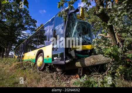 Plate, Germany. 22nd Sep, 2021. After a bus accident with several injured primary school pupils, the vehicle is heavily damaged in the ditch. The bus, which was carrying more than 30 children from a primary school and two adult passengers, left the road and crashed into a tree. Credit: Jens Büttner/dpa-Zentralbild/dpa/Alamy Live News Stock Photo