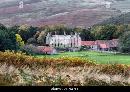 College valley, view to Hethpool House, Hethpool, Northumberland national park, UK Stock Photo