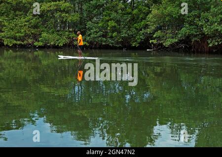 RIO DE JANEIRO, BRAZIL - FEBRUARY 25, 2017: Man practicing stand up paddle with mangrove in the background Stock Photo