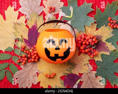 Halloween Jack o Lantern with sweets on a colorful autumn background from dried leaves and orange rowan berries on a knitted red background. Bright au Stock Photo
