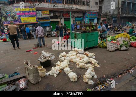 Kolkata, West Bengal, India - 16th December 2020 : Chickens for sale at roadside, Territy bazar, Kolkata. Stock Photo