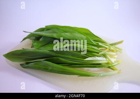 Fresh green wild garlic leaves on white kitchen board Stock Photo