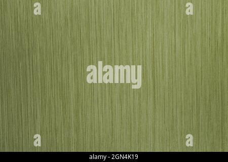 Light Green Texture Background with Delicate Striped Pattern Stock Photo
