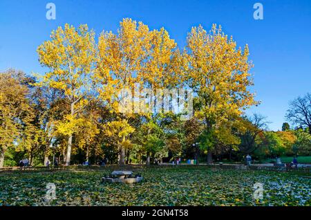 Beautiful corner of autumn colorful forest and the lake of lilies in Borisova gradina, Sofia, Bulgaria Stock Photo
