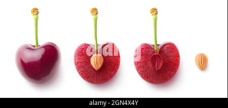 Cherry fruit halves and a pit in a row, flat lay isolated on white background Stock Photo
