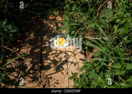 Public footpath sign on a roundel with yellow arrow on a white background mounted on the planks of a small ditch bridge. Stock Photo