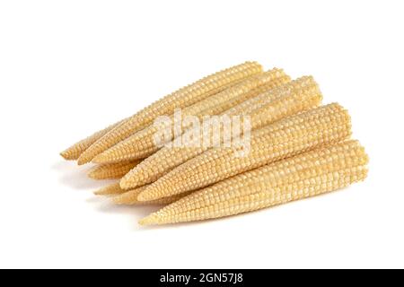 Corn on a white background. Baby corn isolated on white homogeneous background, clipping path, full depth of field. Stock Photo