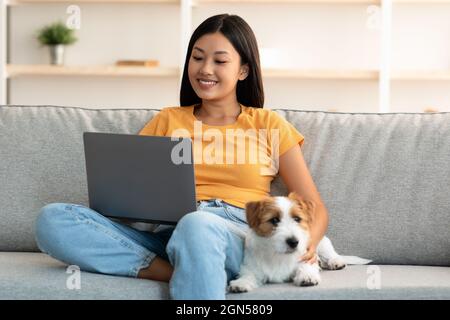 Loyal dog resting by its female owner using laptop Stock Photo