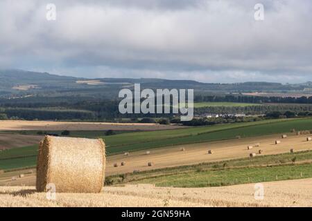 A Scenic View Across the Aberdeenshire Countryside Looking Towards the Village of Cluny, near Sauchen, with Straw Bales in the Foreground Stock Photo