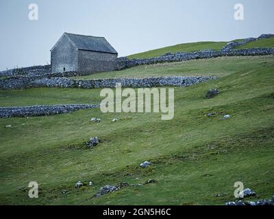 landscape with green fields, ridges, stone barn on skyline & pattern of dry stone walls in Winter in remote uplands of North Yorkshire, England UK Stock Photo