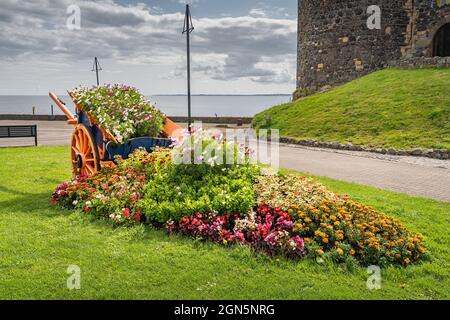 Flower pot made out of carriage or wagon with wooden wheels. Flower bed in front of Carrickfergus Castle, Northern Ireland Stock Photo