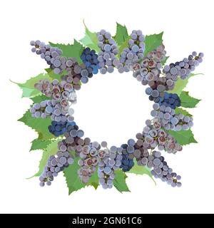 frame, wreath of bunches and leaves of Isabella grapes on a white background Stock Vector