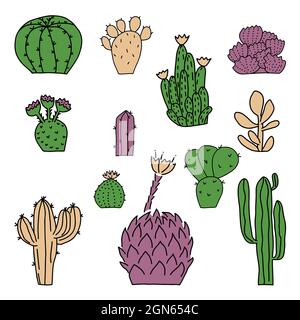 Cactuses Group of outline hand drawn cactuses. Doodle elements for design. Desert plants. Vector illustration isolated on white background Stock Vector