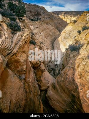 Death Hollow, Grand Staircase-Escalante National Monument, Utah Stock Photo