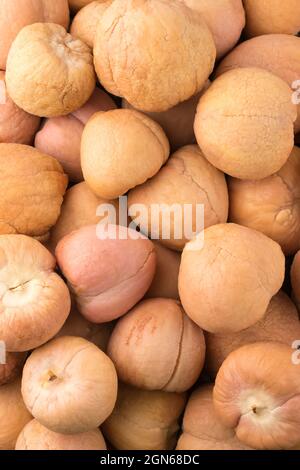 avocados seeds, also known as alligator pear or butter fruit, healthy nutrient food source abstract,closeup taken from above Stock Photo