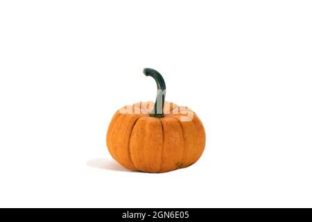 Single fresh orange miniature pumpkin isolated on white background. Side view Stock Photo