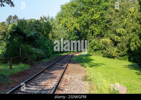Landscape view of a set of railroad train tracks going through a European woodland area on a sunny summer day Stock Photo