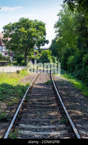 Landscape view of a set of railroad train tracks going through a European woodland area on a sunny summer day Stock Photo