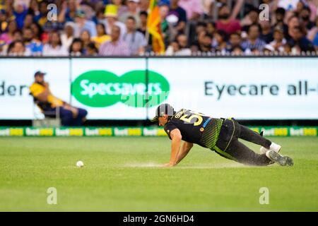 MELBOURNE, AUSTRALIA - NOVEMBER 01: Australian Mitchell Starc takes a fall during the Twenty20 International cricket match between Australia and Sri Lanka at The Melbourne Cricket Ground on November 01, 2019 in Melbourne, Australia.  Credit: Dave Hewison/Alamy Live News Stock Photo