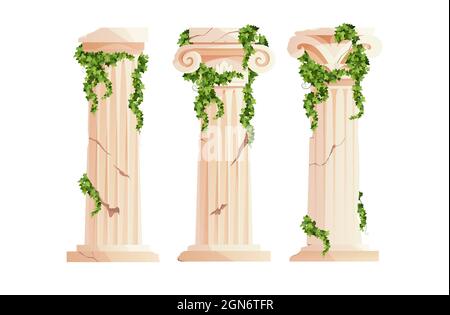Ancient Greek column with ivy climbing branches. Roman pillar. Building design elements and decoration. Stock Vector
