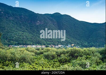 Hong Kong Forest Stock Photo