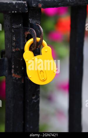 Yellow Padlock on Black Gate Stock Photo