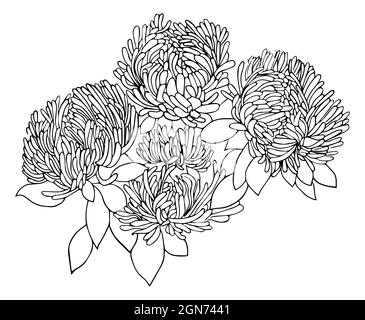 Doodle flowers growing in garden vector illustration page for coloring book. Black and white handdrawn bouquet with leaves for adult and children Stock Vector