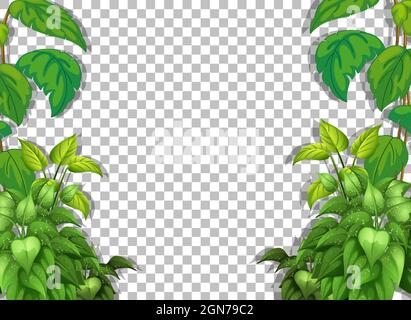 Various tropical leaves on transparent background illustration Stock Vector