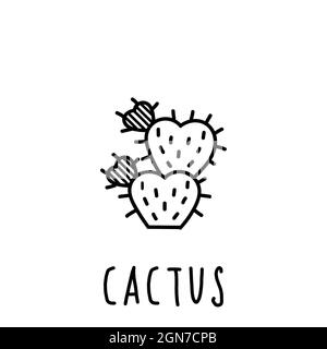 Hand Drawn Cactus Doodle Icon Stock Photo