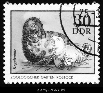 Stamp print in Germany, East Germany, animals Stock Photo