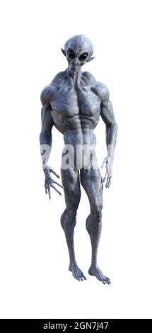 3d illustration of a creepy muscular gray alien with pointy ears looking forward with large black eyes isolated on a white background. Stock Photo