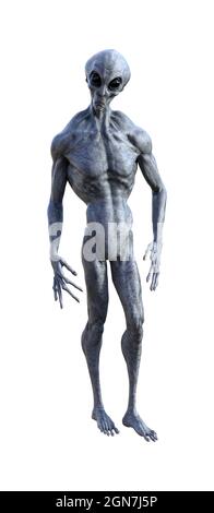 3d illustration of a grey alien with a toned muscular body looking forward isolated on a white background. Stock Photo
