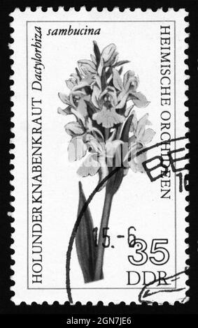 Stamp print in Germany, East Germany,flowers Stock Photo