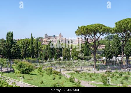 Municipal Rose Garden in Aventino hill, Rome, Italy Stock Photo