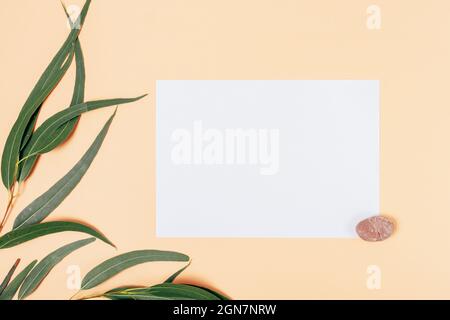 White blank card mockup with stone and green eucalyptus leaves on beige background, flat lay composition Stock Photo