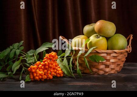 Rowan branch with berries and green apples in a wicker basket on dark wooden background with copy space Stock Photo