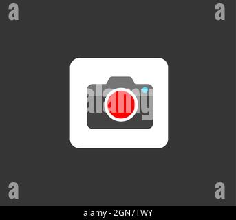 camera button isolated on grey background, DSLR icon Stock Vector