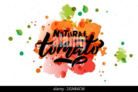 Hand sketched Tomato product. Concept for farmers market, organic food, natural product design, juice, sauce, ketchup. Tomato logotype, badge. Tomato Stock Vector