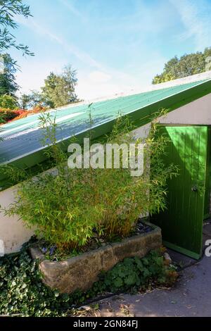 An exterior view of a planting shed in the walled garden in Sheffield's Meersbrook Park. An stone trough with vivid green plants is in the foreground. Stock Photo