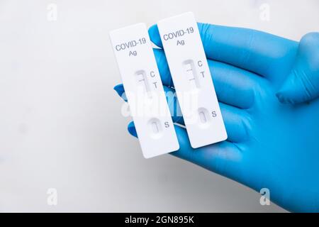Positive and negative Covid-19 antigenic test for quick detection of disease in doctors hand in the rubber gloves with copy space. Coronavirus test Stock Photo