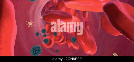 Components of blood circulating inside blood vessel - 3d illustration Stock Photo