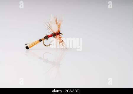 Traditional Royal Coachman Dry Fly Fishing fly against a white background with copy space Stock Photo