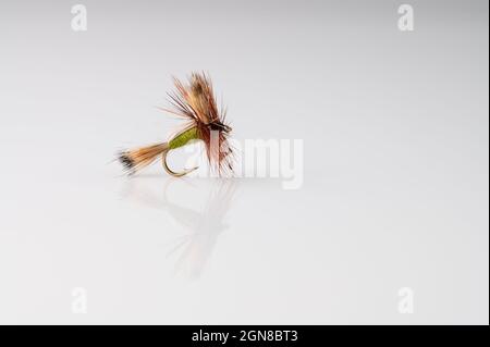 Traditional Olive Humpy Dry Fly Fishing fly against a white background with copy space Stock Photo