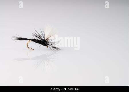 Traditional Black Gnat Parachute  Dry Fly Fishing fly against a white background with copy space Stock Photo