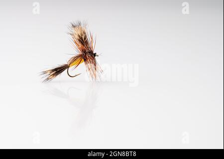 Traditional Yellow Humpy Dry Fly Fishing fly against a white background with copy space Stock Photo