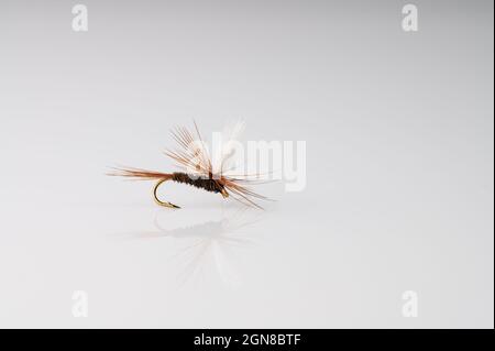 Traditional pheasant tail parachute Dry Fly Fishing fly against a white background with copy space Stock Photo