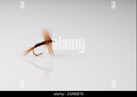 Traditional Pheasant Tail Dry Fly Fishing fly against a white background with copy space Stock Photo