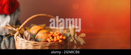 Wicker basket with autumn harvest on the background of woolen sweaters of different colors Stock Photo
