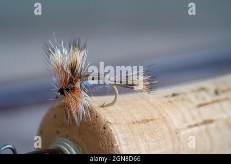 Macro image of a Adams Humpy Dry Trout fly Fishing Fly hooked into a cork handle Stock Photo